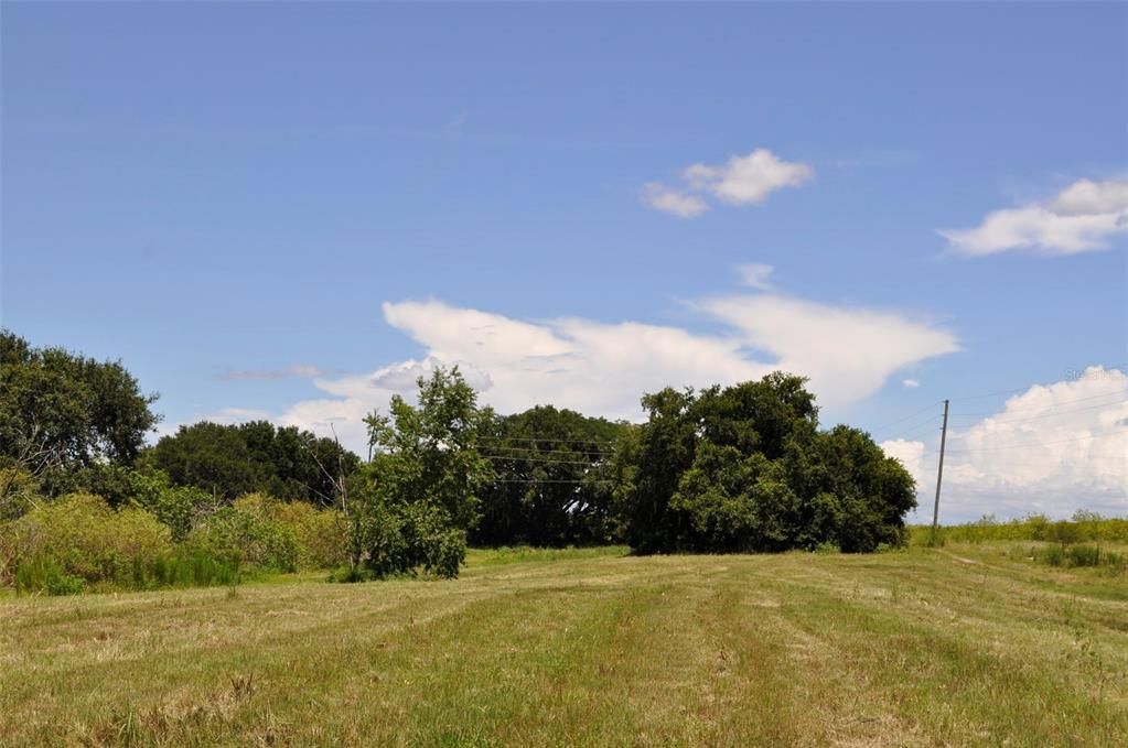 На продажу: $10,300,000 (88.00 acres)