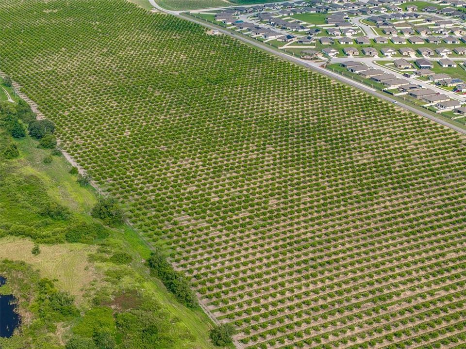 На продажу: $10,300,000 (88.00 acres)