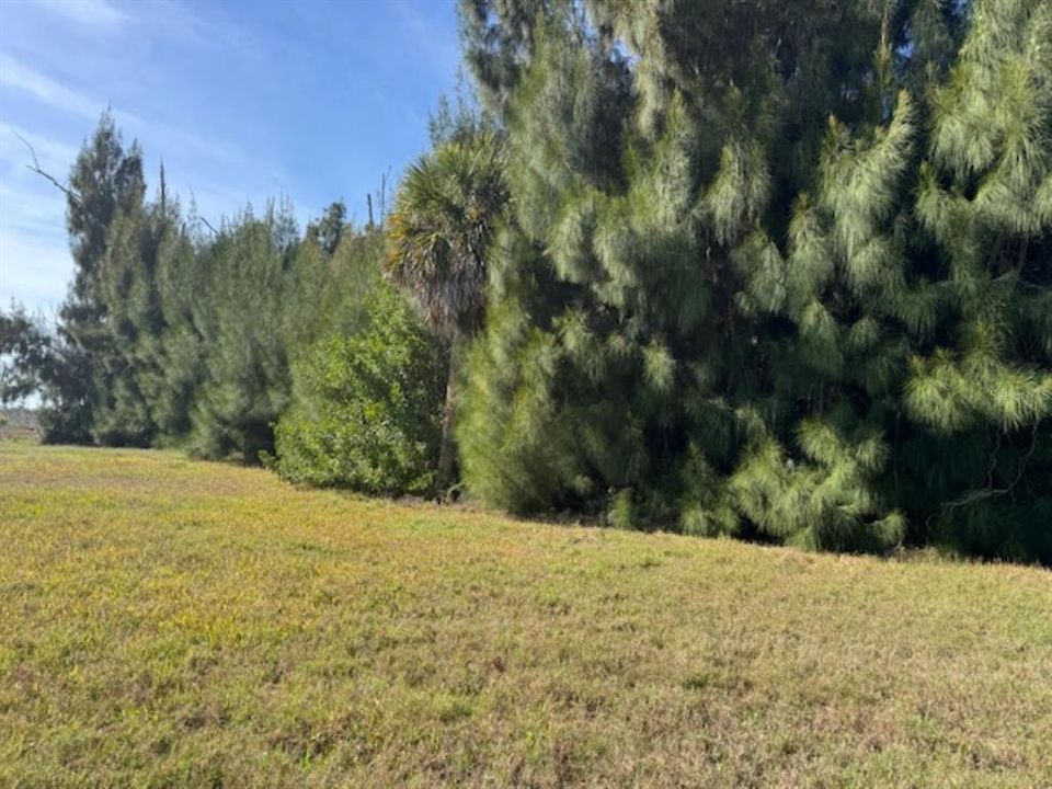 На продажу: $187,000 (0.55 acres)