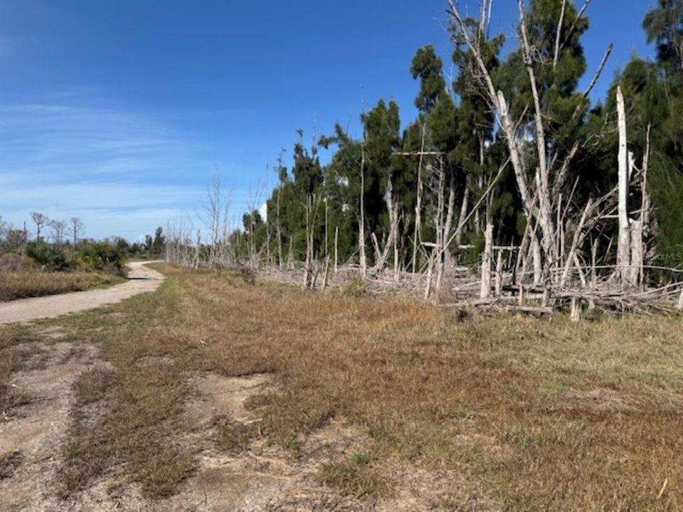 На продажу: $187,000 (0.55 acres)