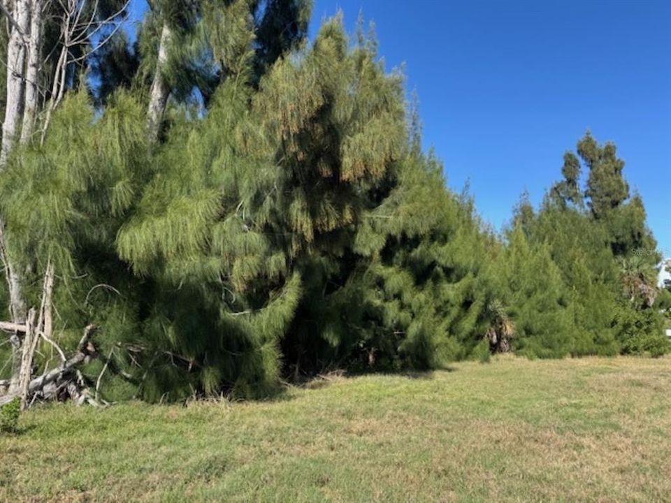 На продажу: $187,000 (0.55 acres)