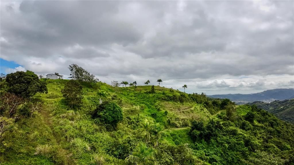 На продажу: $995,000 (45.81 acres)