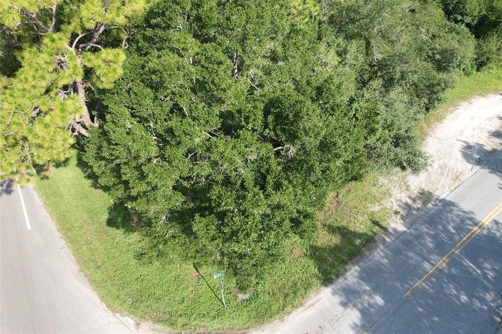 For Sale: $250,000 (5.00 acres)