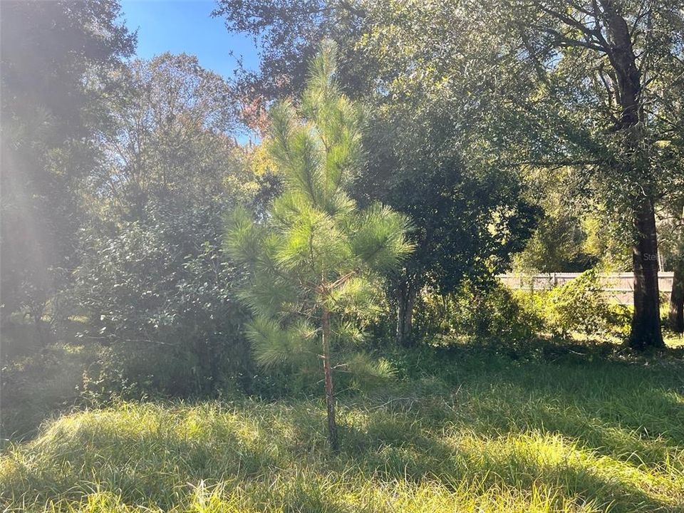 待售: $42,000 (0.33 acres)