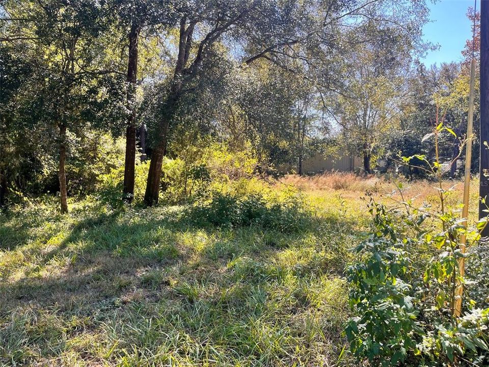 待售: $42,000 (0.33 acres)