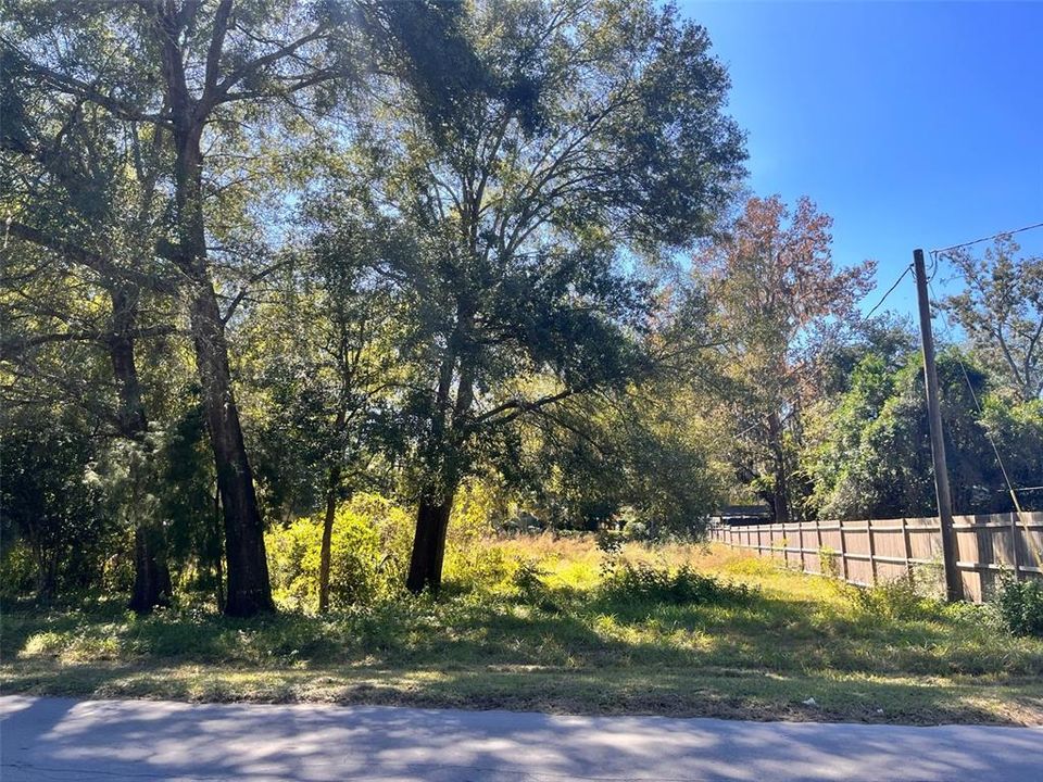 待售: $42,000 (0.33 acres)