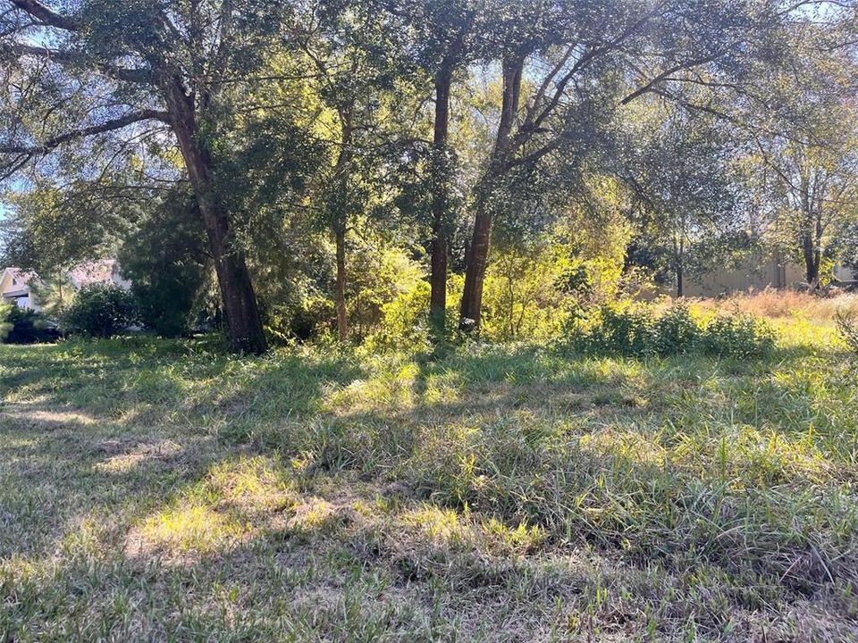 待售: $42,000 (0.33 acres)