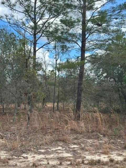 En Venta: $18,000 (0.23 acres)