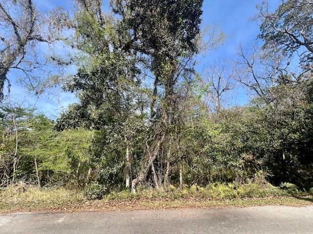 合同活跃: $85,000 (2.41 acres)
