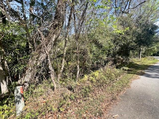 合同活跃: $85,000 (2.41 acres)
