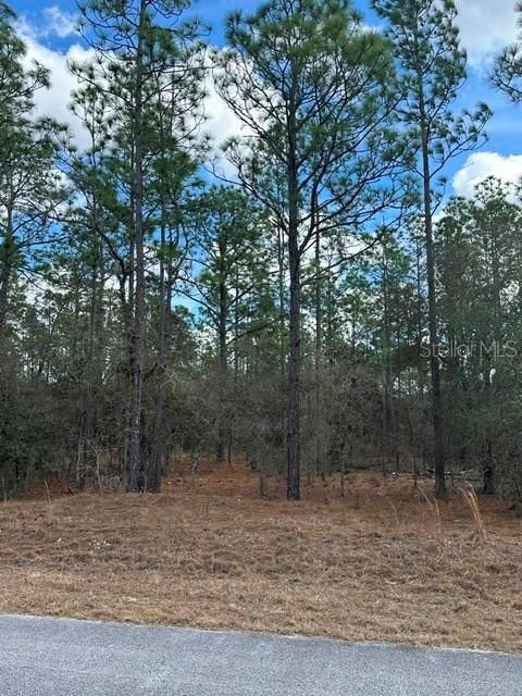 For Sale: $18,000 (0.25 acres)