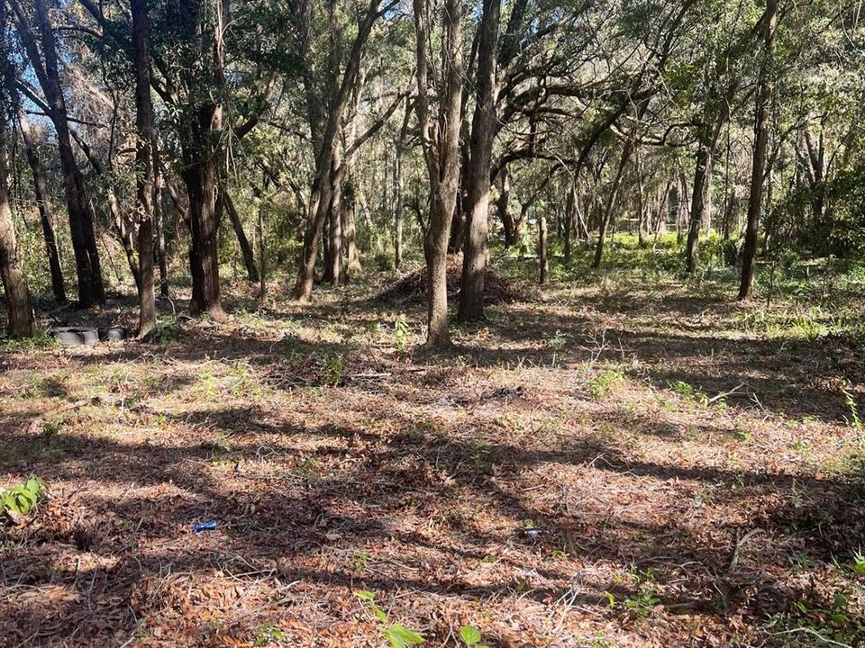 待售: $40,000 (0.62 acres)