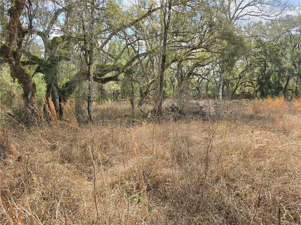 En Venta: $45,000 (0.80 acres)