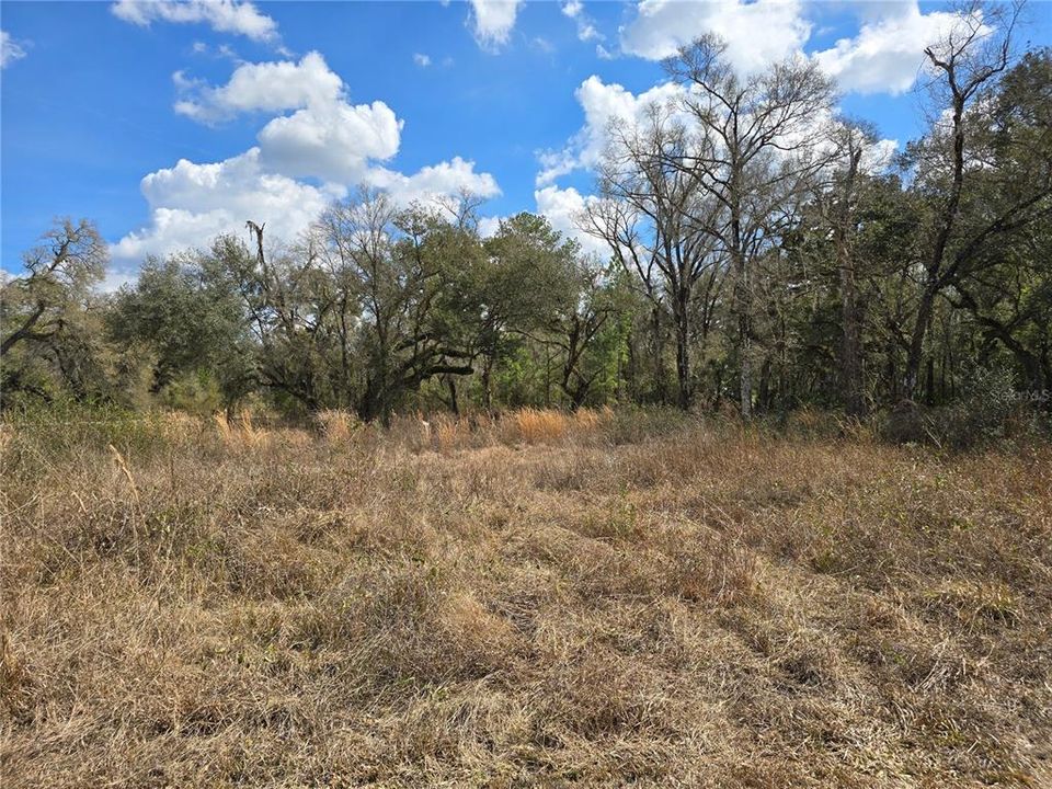 En Venta: $45,000 (0.80 acres)