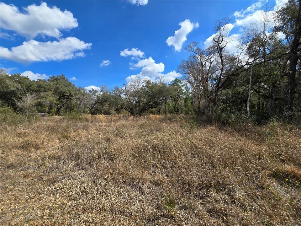 En Venta: $45,000 (0.80 acres)