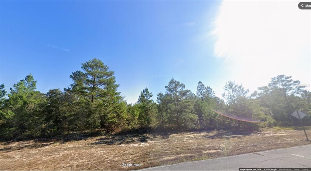 For Sale: $9,900 (0.34 acres)