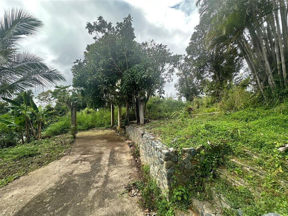 待售: $149,000 (4.50 acres)
