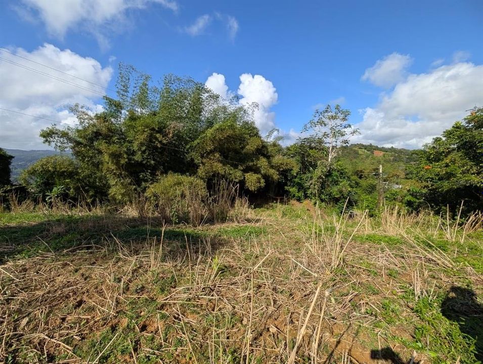 待售: $149,000 (4.50 acres)