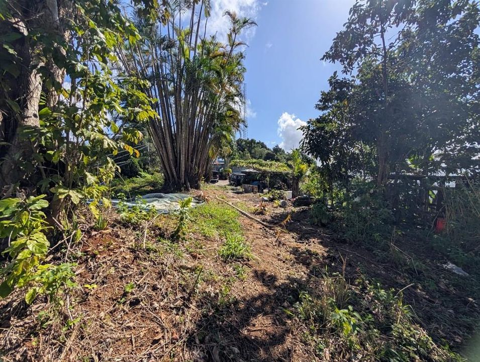待售: $149,000 (4.50 acres)