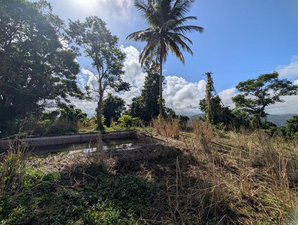 待售: $149,000 (4.50 acres)