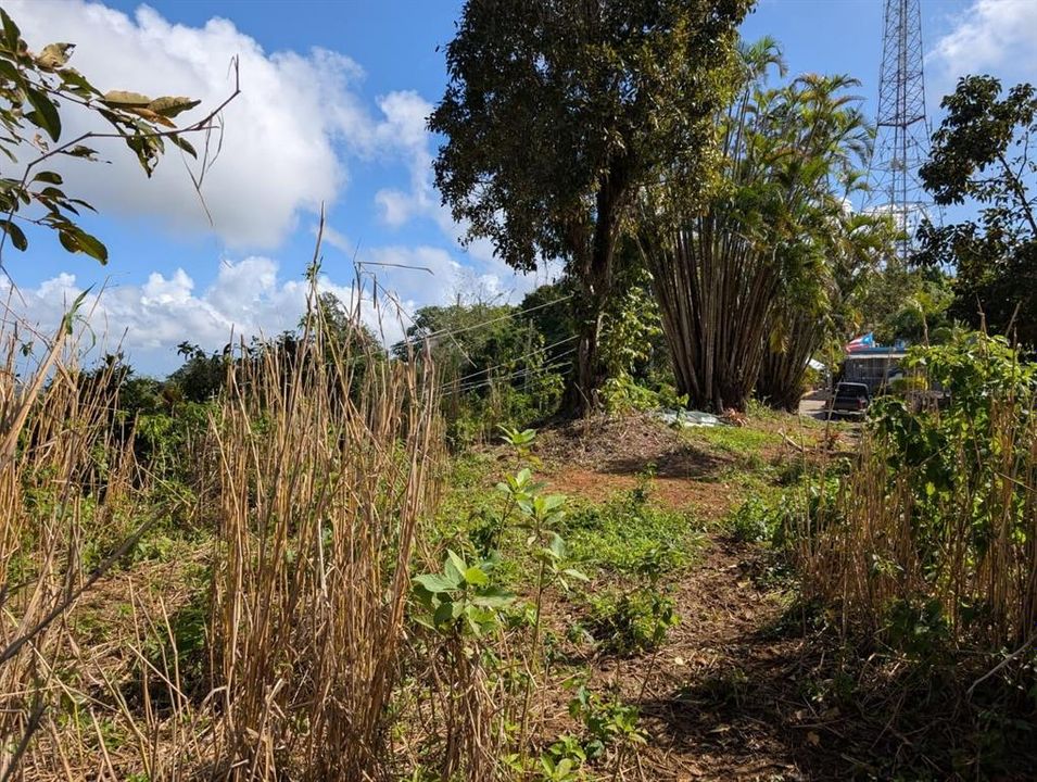 待售: $149,000 (4.50 acres)