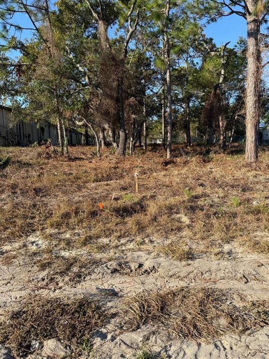 For Sale: $149,000 (0.46 acres)
