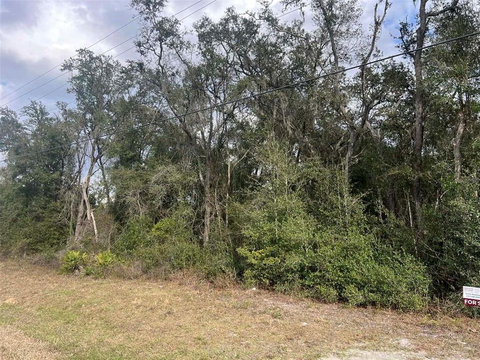 На продажу: $23,900 (0.35 acres)