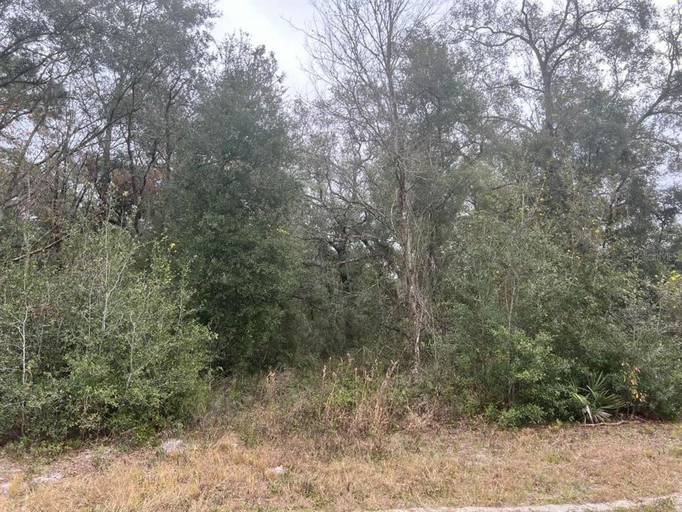 На продажу: $23,900 (0.35 acres)