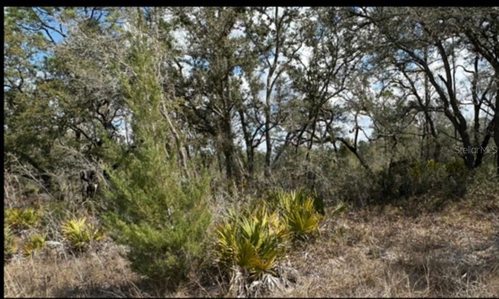 En Venta: $39,000 (0.60 acres)