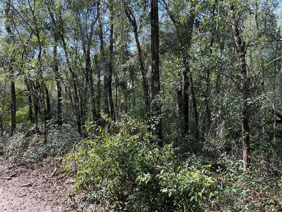 For Sale: $24,500 (0.43 acres)