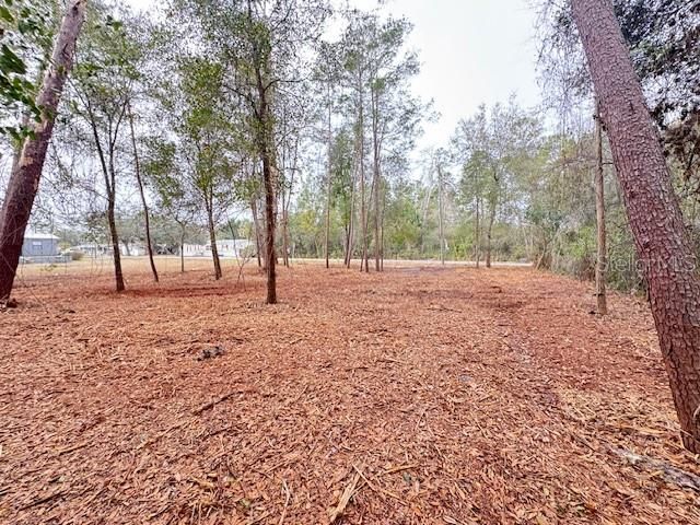 待售: $29,900 (0.25 acres)