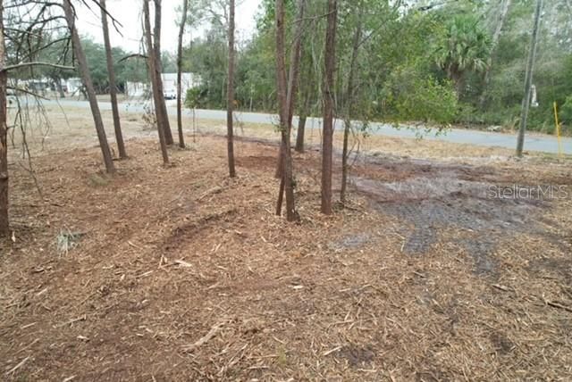 待售: $29,900 (0.25 acres)