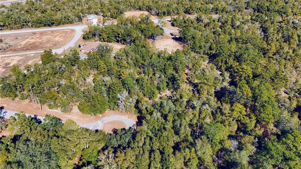 For Sale: $19,000 (1.09 acres)