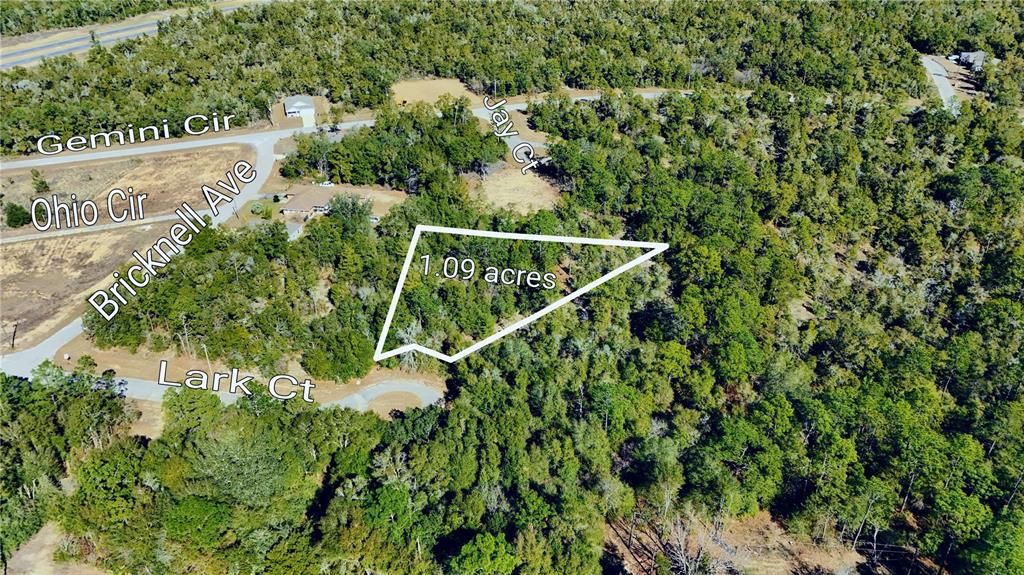 For Sale: $19,000 (1.09 acres)