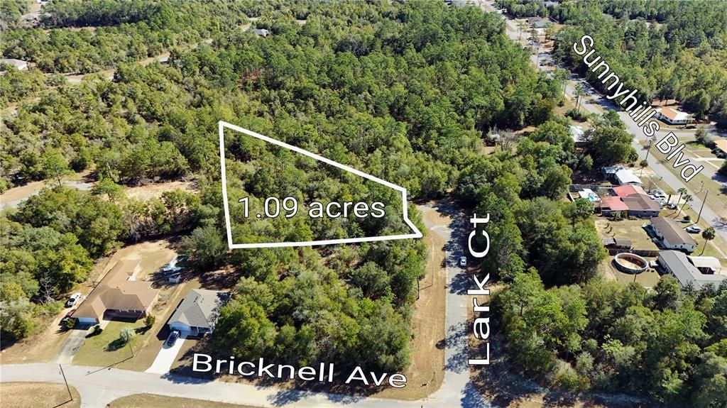For Sale: $19,000 (1.09 acres)