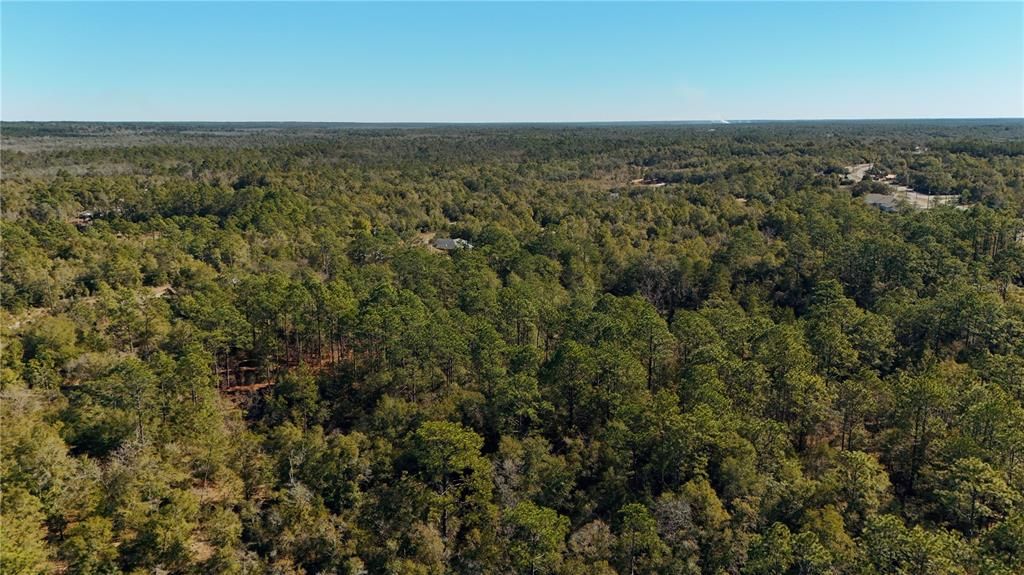 For Sale: $19,000 (1.09 acres)
