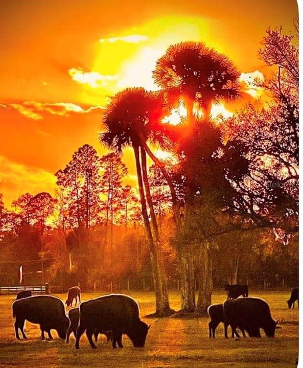 На продажу: $4,500,000 (34.27 acres)