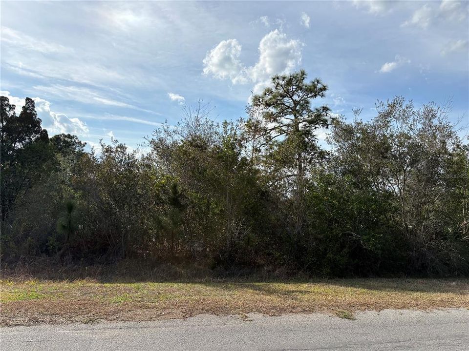На продажу: $150,000 (1.03 acres)