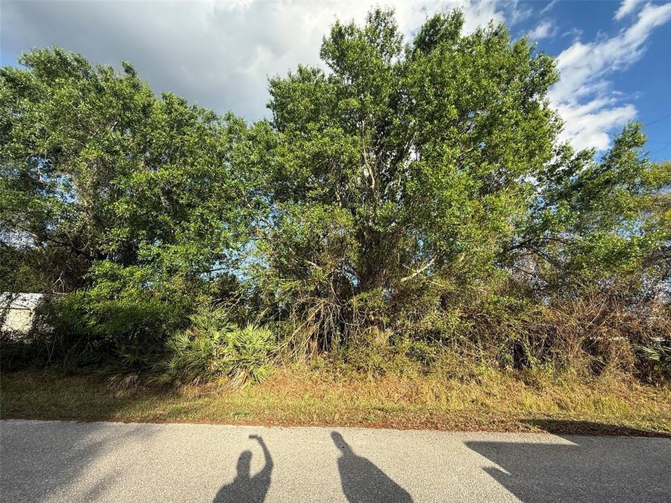 Activo con contrato: $37,900 (0.36 acres)