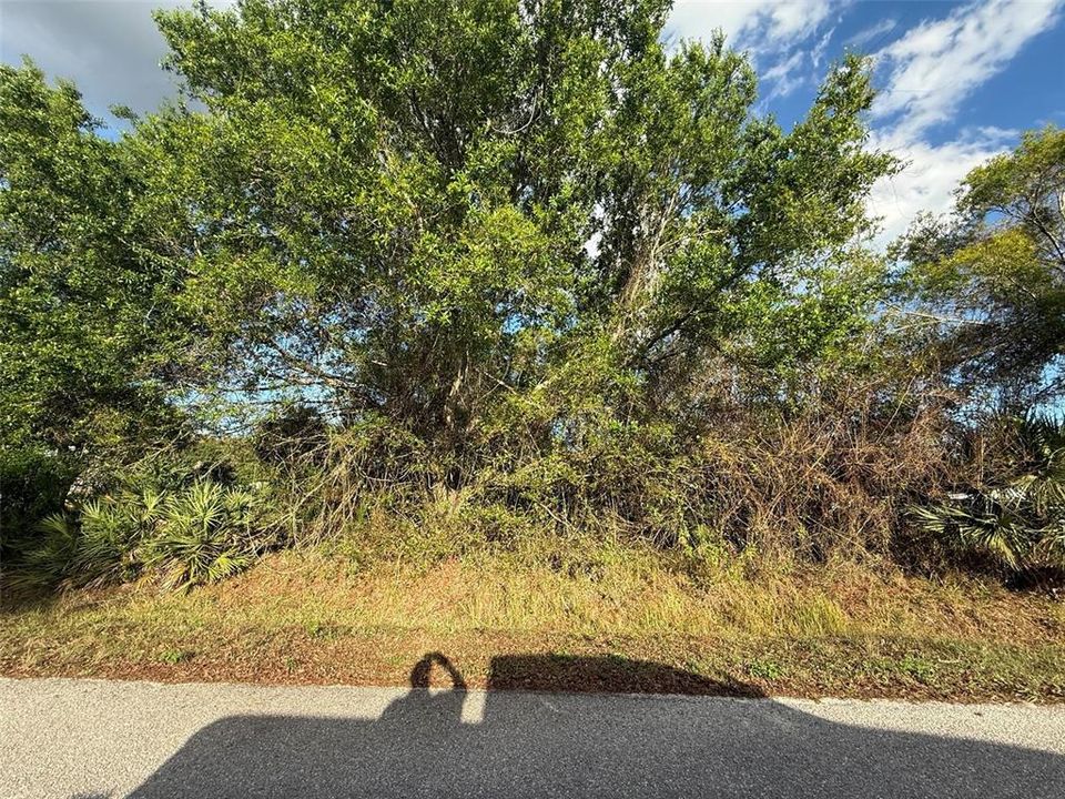 Activo con contrato: $37,900 (0.36 acres)