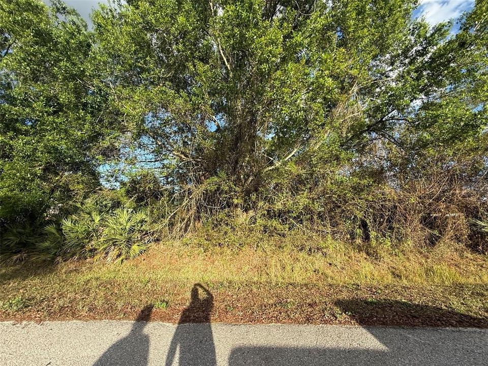 Activo con contrato: $37,900 (0.36 acres)