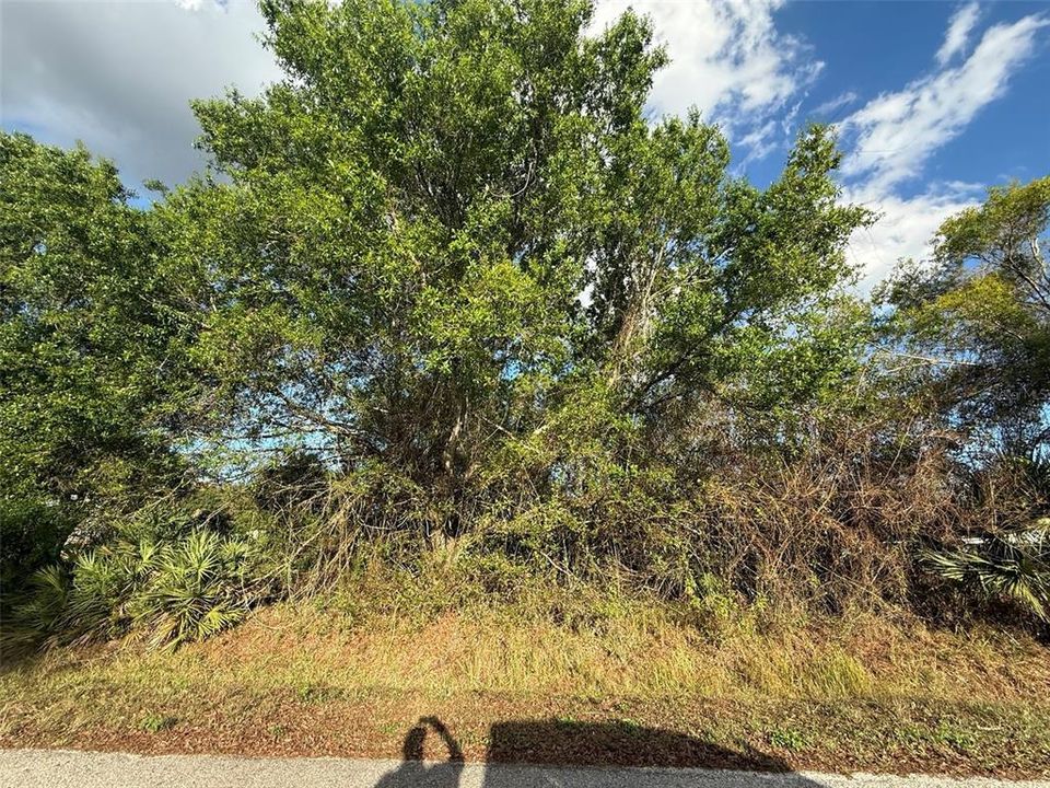 Activo con contrato: $37,900 (0.36 acres)