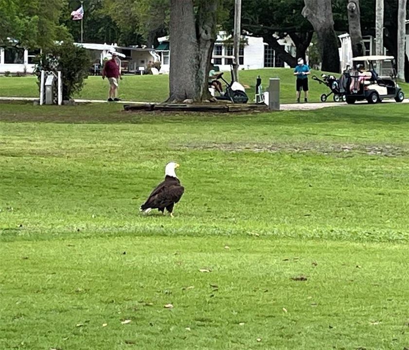 Activo con contrato: $149,900 (2 camas, 2 baños, 1200 Pies cuadrados)