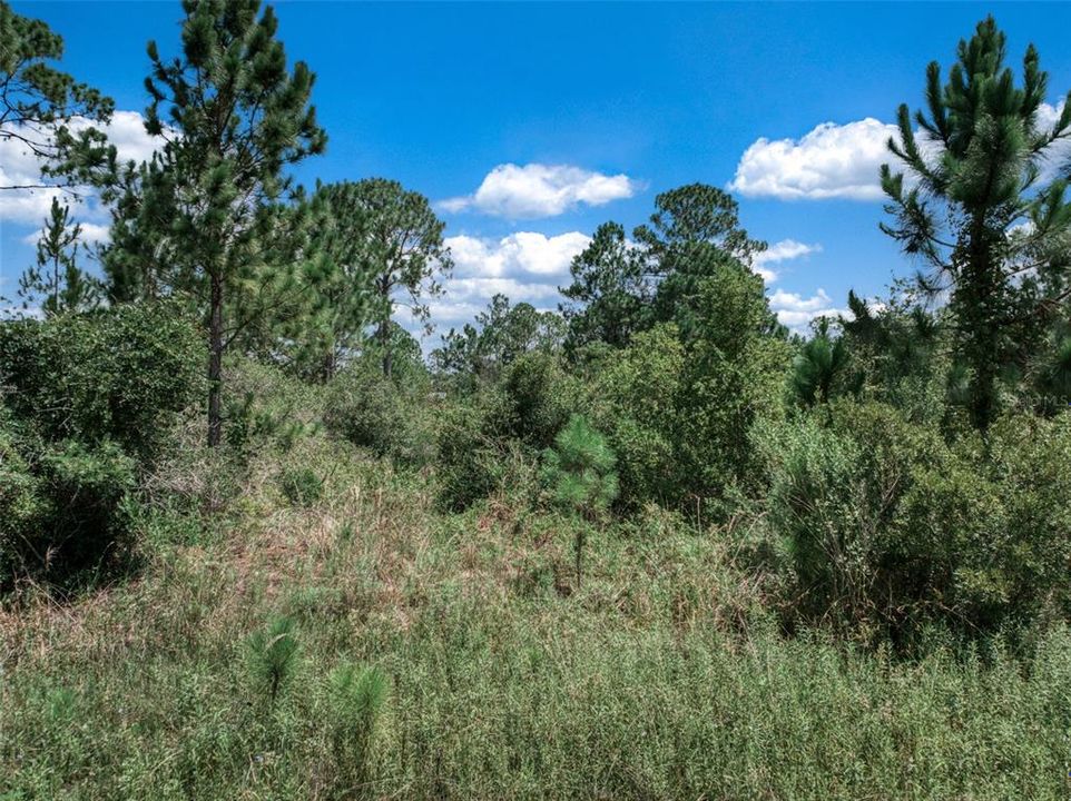 На продажу: $15,000 (0.46 acres)