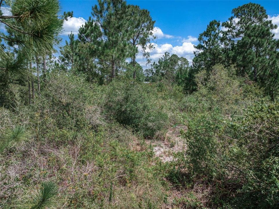 En Venta: $7,500 (0.23 acres)