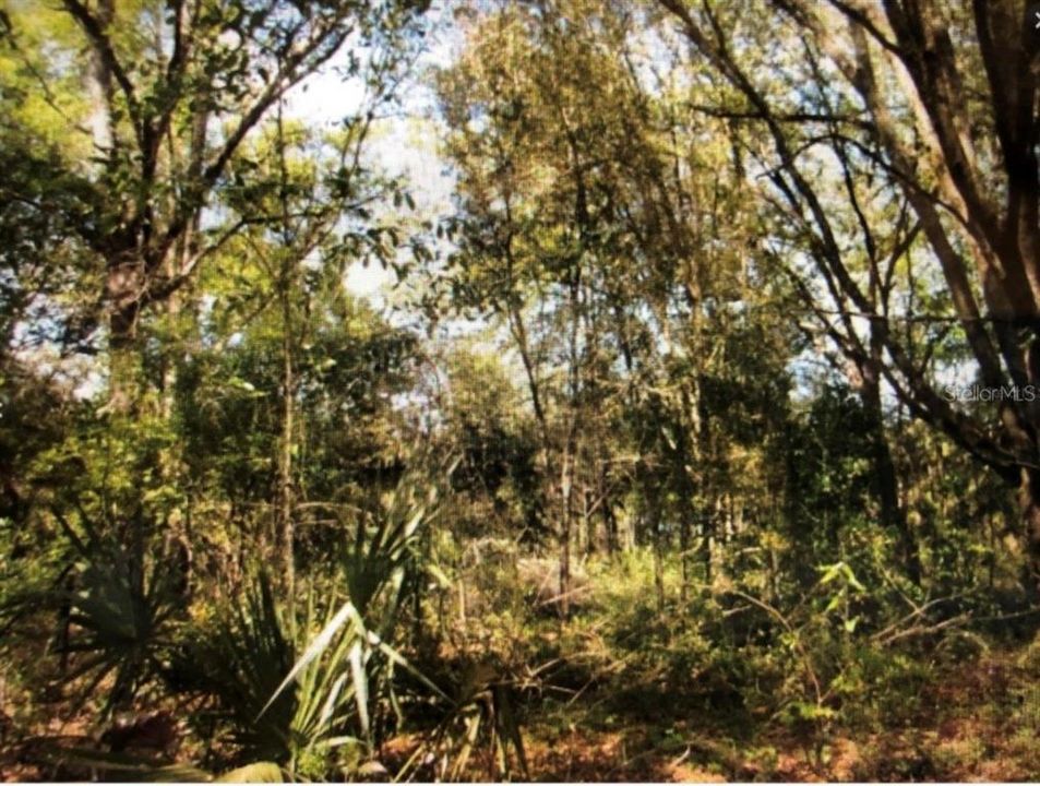 На продажу: $25,000 (1.00 acres)