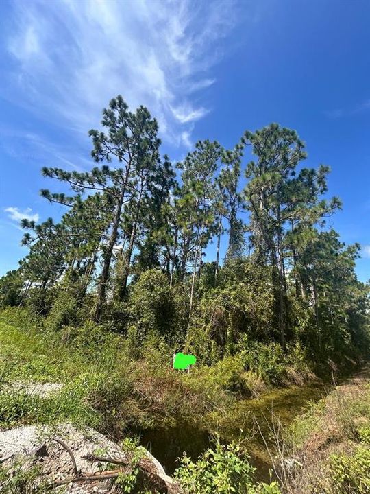 For Sale: $62,500 (0.95 acres)