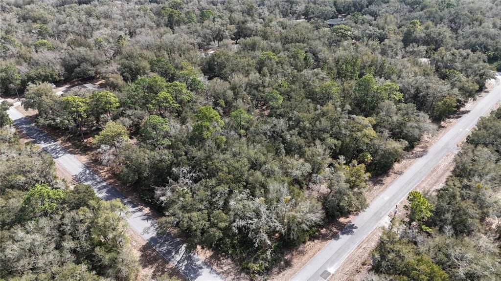 En Venta: $58,000 (2.60 acres)
