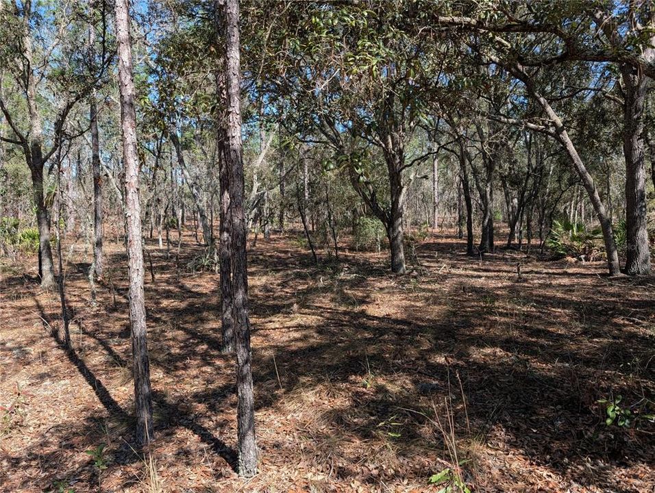 For Sale: $69,950 (1.16 acres)