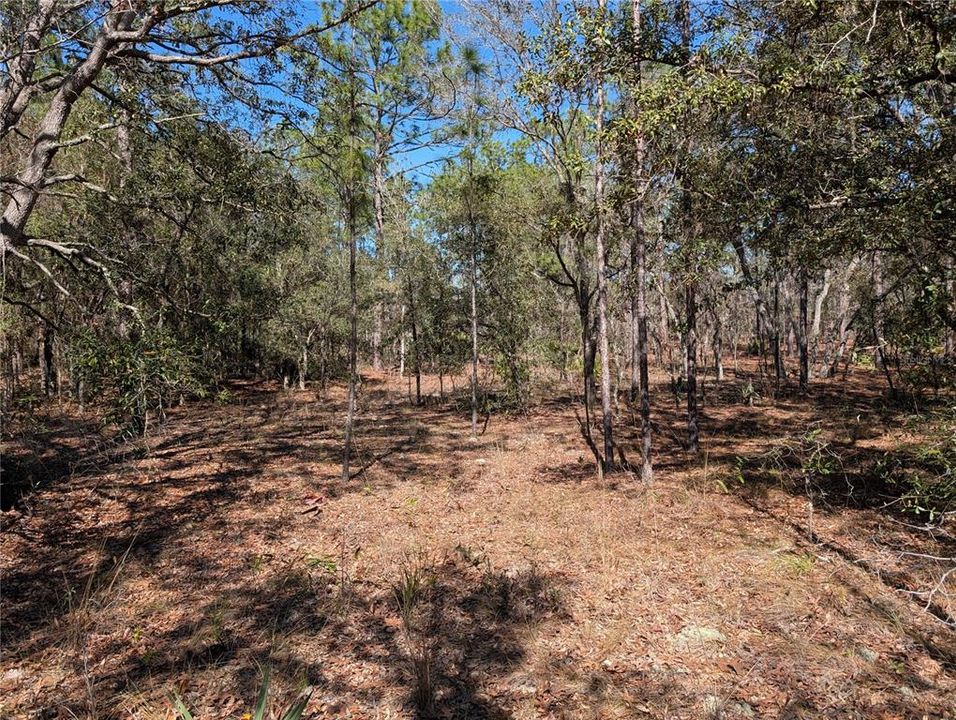 For Sale: $69,950 (1.16 acres)